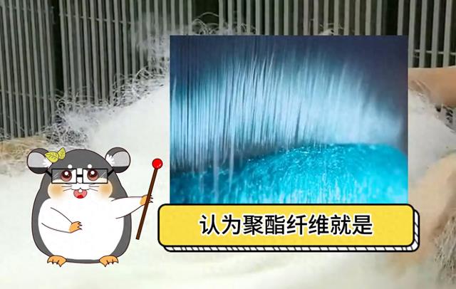 为什么说聚酯纤维是人类最伟大的发明？#聚酯纤维#知识科普