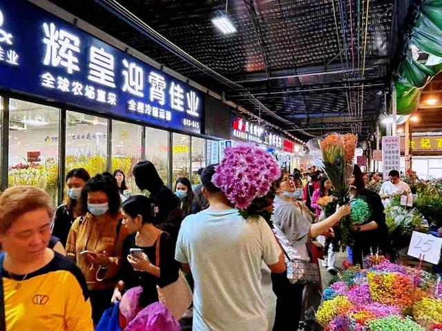 蝴蝶兰“爆单”、热带植物“出圈”，广州年宵花新意浓年味更浓