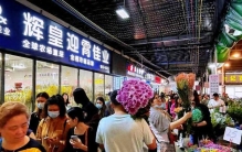 蝴蝶兰“爆单”、热带植物“出圈”，广州年宵花新意浓年味更浓