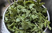 肝喜欢的一花一果，立春后多吃，调肝、疏肝、补肝，肝好一切都好