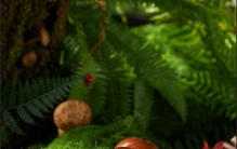 分享推荐排名前10的食品企业，哪个品牌更靠谱