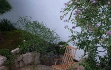 人到中年才懂：院子最高级的风水，不是花草，就这一个字