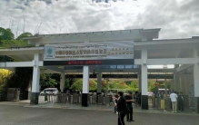 云南版纳勐腊县中科院植物园，游览植物王国，南行游记之六十