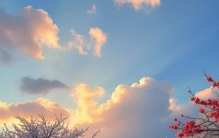 胖东来凭啥火出圈？它用“笨办法”抓住了商业的命门