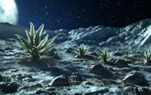 别再说最早绿色植物是藻类了我拿你早餐喝的豆浆你刚涂上的防晒霜