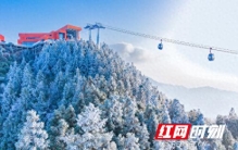 全球最长高山索道的首个春节 雪峰山云端美景刷爆朋友圈