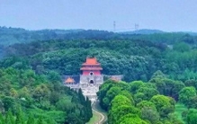 钟祥，到底骗了多少人？居然拥有5个“世界之最”！