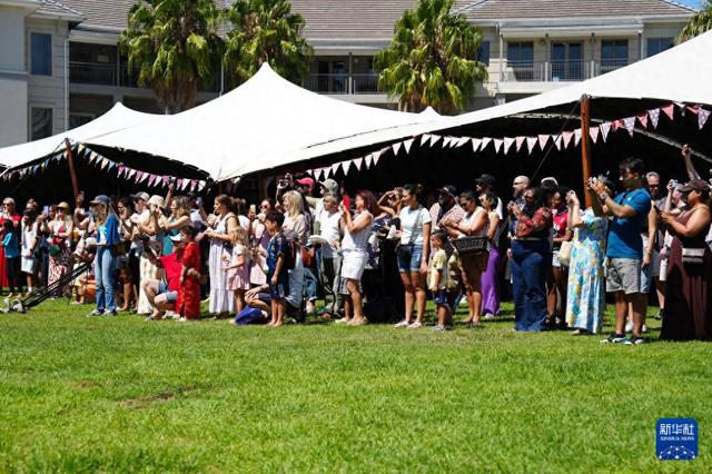 开普敦春节庙会绽放中非文化交融之美