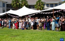 开普敦春节庙会绽放中非文化交融之美