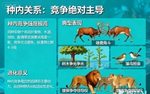 在生物界，每个物种是竞争多还是朋友多？（商业世界呢？）