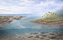 我国科学家重大发现！4亿多年前植物已陆地大规模扩张