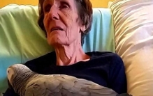 享年55岁世界最老鹦鹉，临终前对主人说了2个字，主人瞬间泪崩