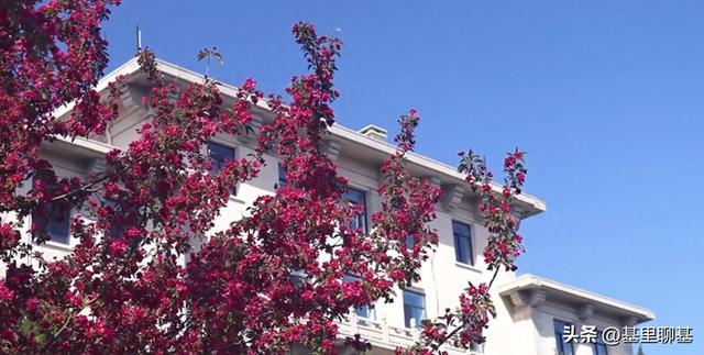 深度分析:北京科技大学王牌专业(参考2025年高考录取分数)