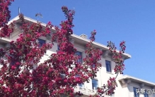 深度分析：北京科技大学王牌专业（参考2025年高考录取分数）