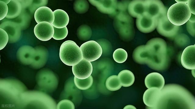 比细菌还小：科学家创造出世界上最小的二维码，重塑人类存储方式