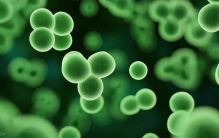 比细菌还小：科学家创造出世界上最小的二维码，重塑人类存储方式