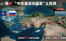 揭秘“中东最嚣张国家”土耳其：地理与军事实力成其底气所在