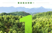 看这些全球第一