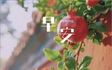 石榴是最懂生活的植物