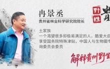 野性贵州 有问必答丨这棵树会“笑”，一“笑”就是满树繁花