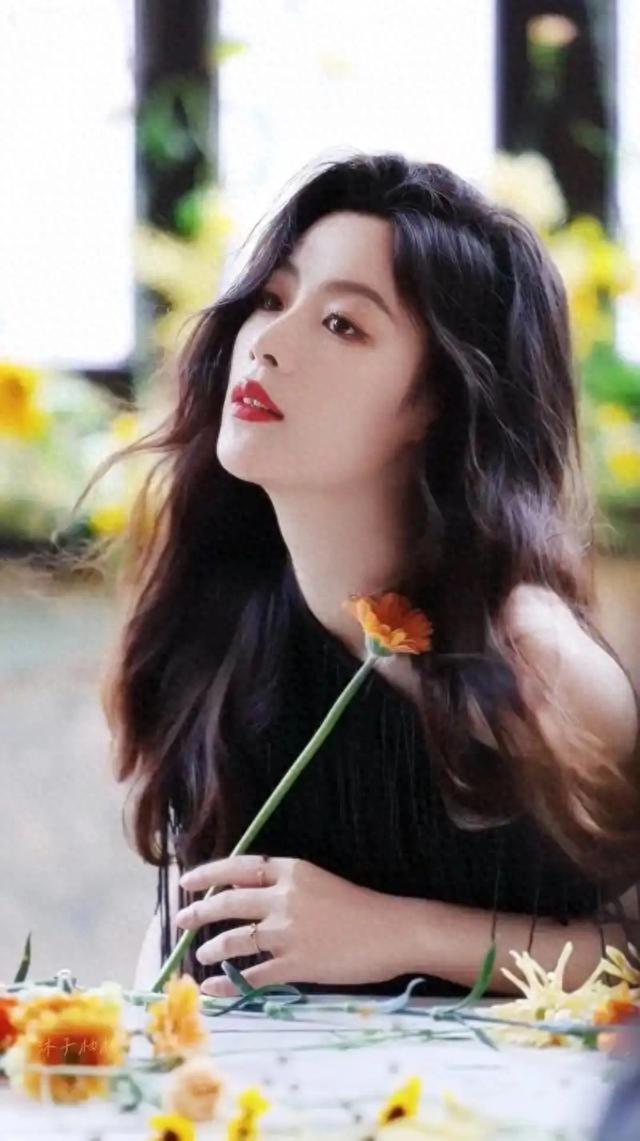 郭碧婷杨谨华打call陈丽君!浪姐售后跨海峡,越剧顶流宝岛封神