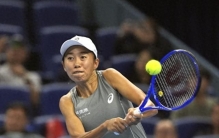 四强收官！张帅本站收获220积分，6.6万美元奖金，即时世界排名61