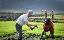 特稿丨中国技术助力全球南方国家农业发展