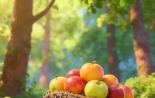 不写感觉的头条干货版