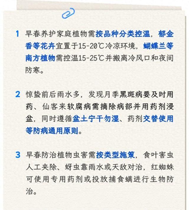 早春家庭植物养护，抓准这3个关键→