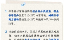 早春家庭植物养护，抓准这3个关键→