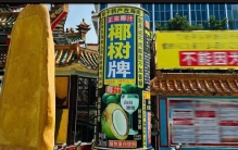 椰树，你骂它擦边，它就赢了