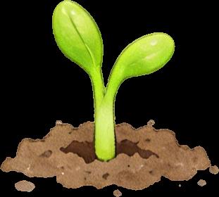 一堂来自植物的大师课