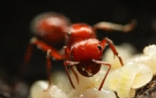 费米悖论最恐怖的答案：宇宙不是空的，是我们根本看不见。