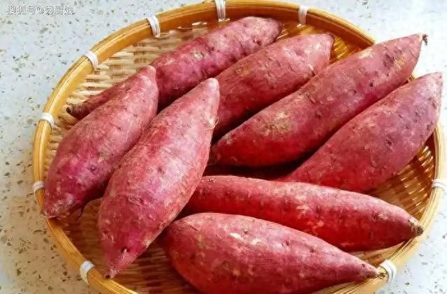 中国6大长寿食物揭晓！山药排第6，榜首就在身边却易忽视