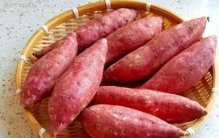 中国6大长寿食物揭晓！山药排第6，榜首就在身边却易忽视