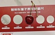 蓝莓越大，营养越少？大多数人都选错了！掌握技巧选出好蓝莓