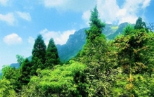 胖东来“现结”逼哭同行：当供应商不再需要讨债，商业才有了尊严