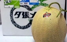 长见识了！世界上最贵的十种水果，第一种居然上百万元