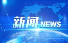 马蹄莲、马鞭草、马齿苋…… 一起看看植物世界里的“马”氏成员