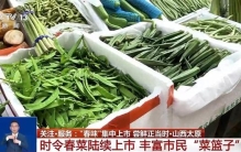 春天吃什么？这份春菜地图请查收