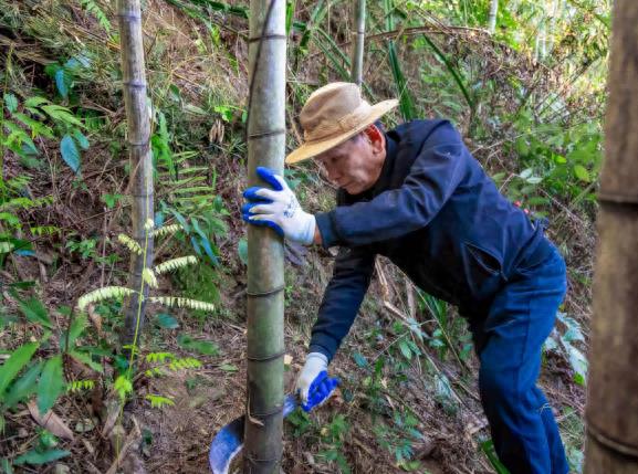 火骨纸魂、跃夜成光，五经富烟花火龙非遗重生全记录