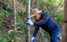 火骨纸魂、跃夜成光，五经富烟花火龙非遗重生全记录