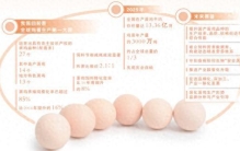 从鸡舍到餐桌，一枚让人放心的鸡蛋要经过几道关？