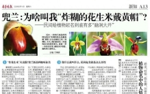 炸糊的花生米、飞鸭兰……植物起名可真会玩！