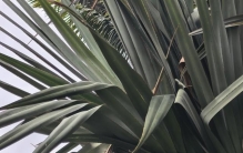 两千年不褪色的商业密码：《史记》里藏着巴菲特也惊叹的财富智慧