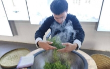 300℃铁锅里的“费头子”：大巴山22岁高级茶师的“叛逆”与坚守