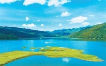 什么是“树胡子”？一起了解这位地球上最古老的“居住者”