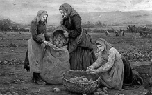 土豆，你的名字与世界缠绕