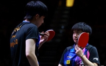 最新世界排名：张本兄妹成最大获利者，温瑞博世界17，莎头掉分多