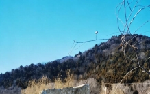 周口店：触摸人类文明的起点，这里藏着东方人类最古老的密码